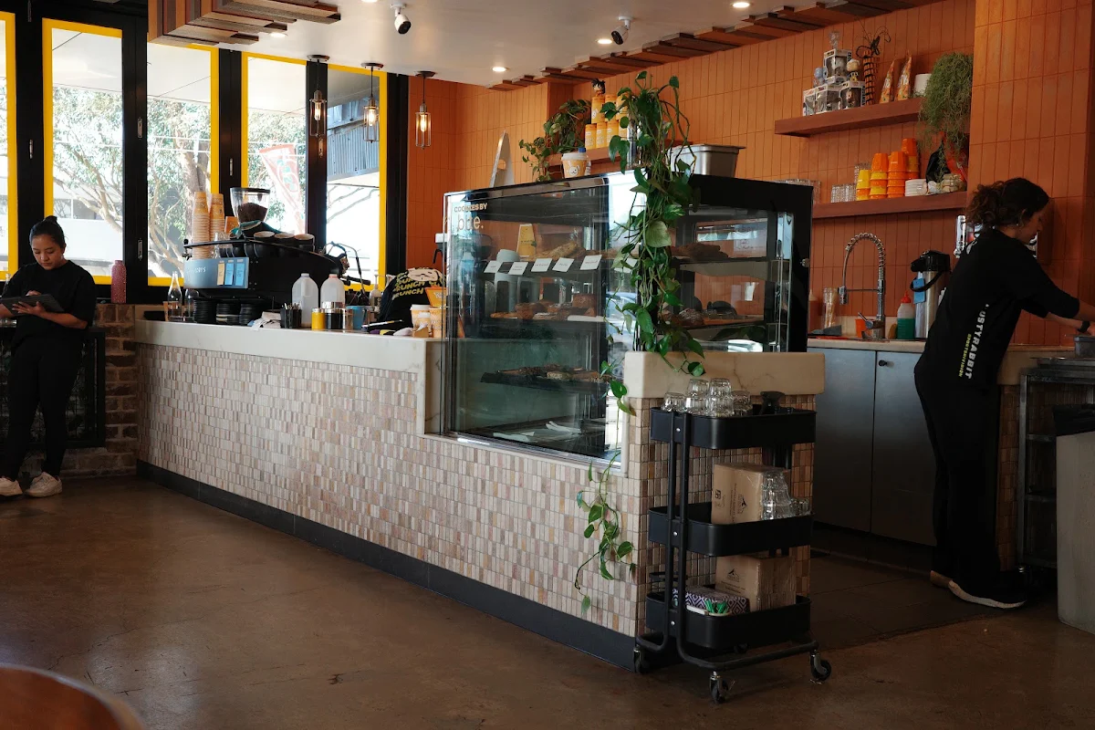 Vibe, The Rusty Rabbit - Concord