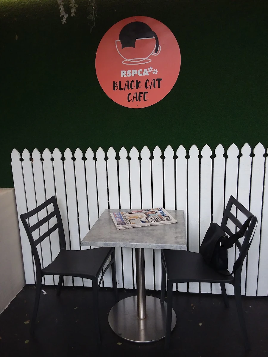 Vibe, RSPCA Black Cat Café