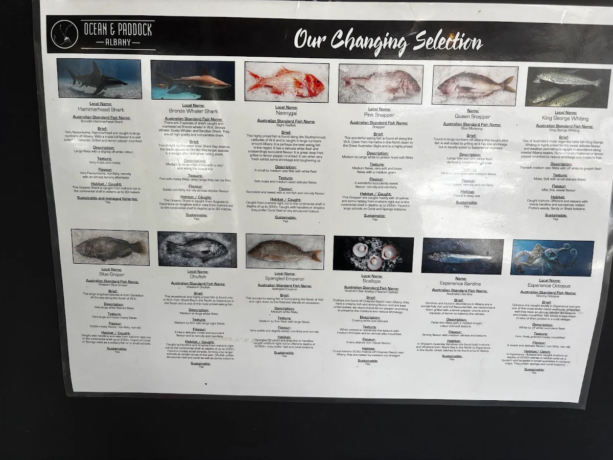 Menu, Ocean & Paddock