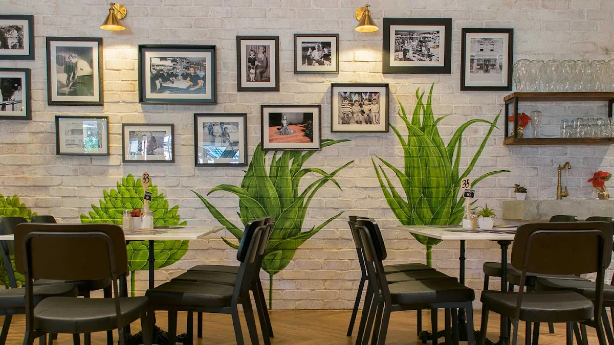 Vibe, Caffe Primo