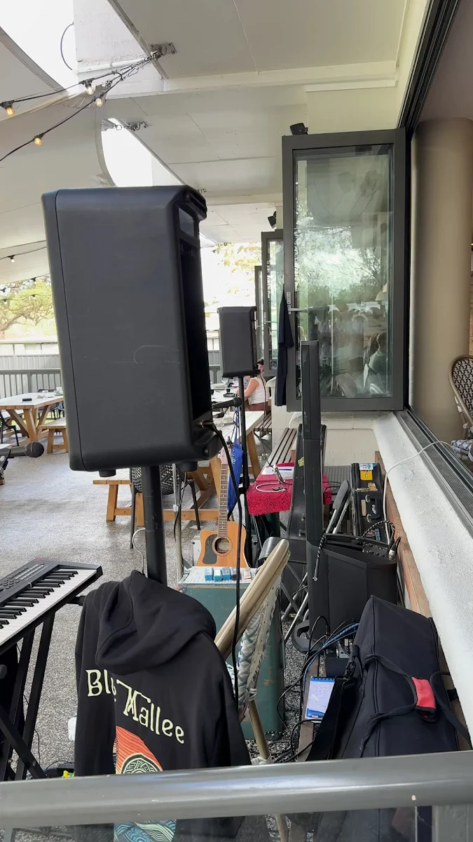 Vibe, Swordfish Brewing