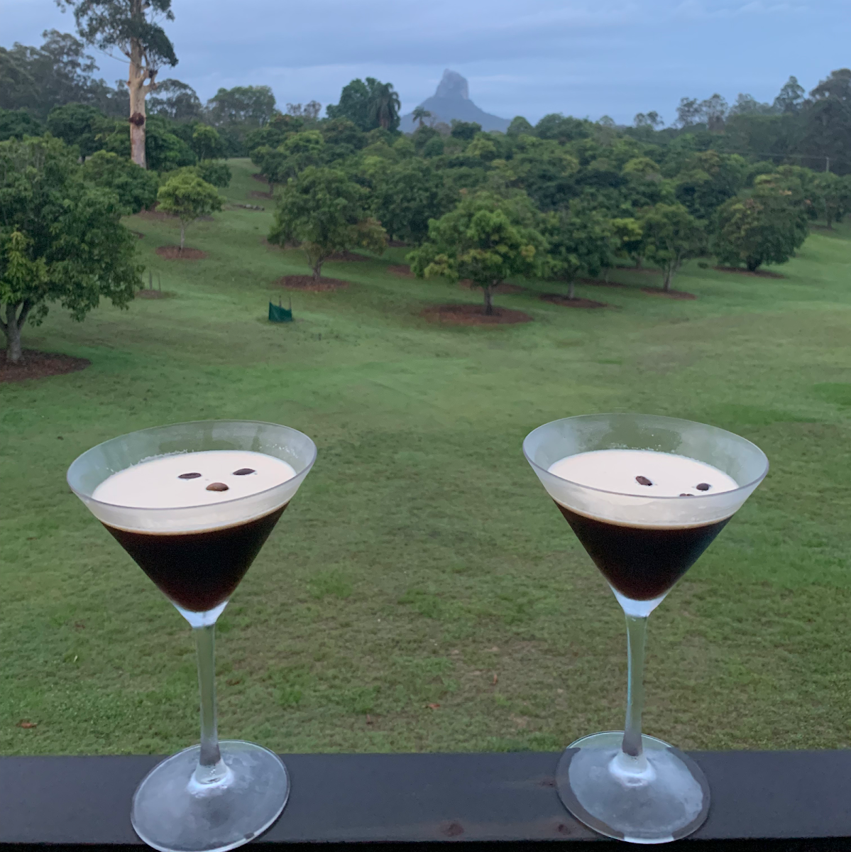 Food & drink, Glass on Glasshouse
