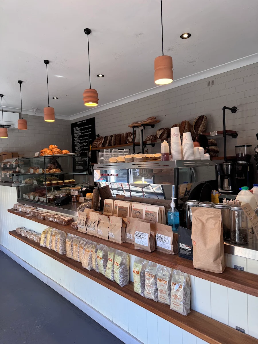 Vibe, Berkelo Manly