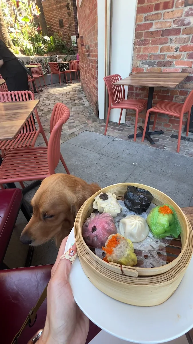 Food & drink, Goodtime Bistro - YUM CHA CHA CHA