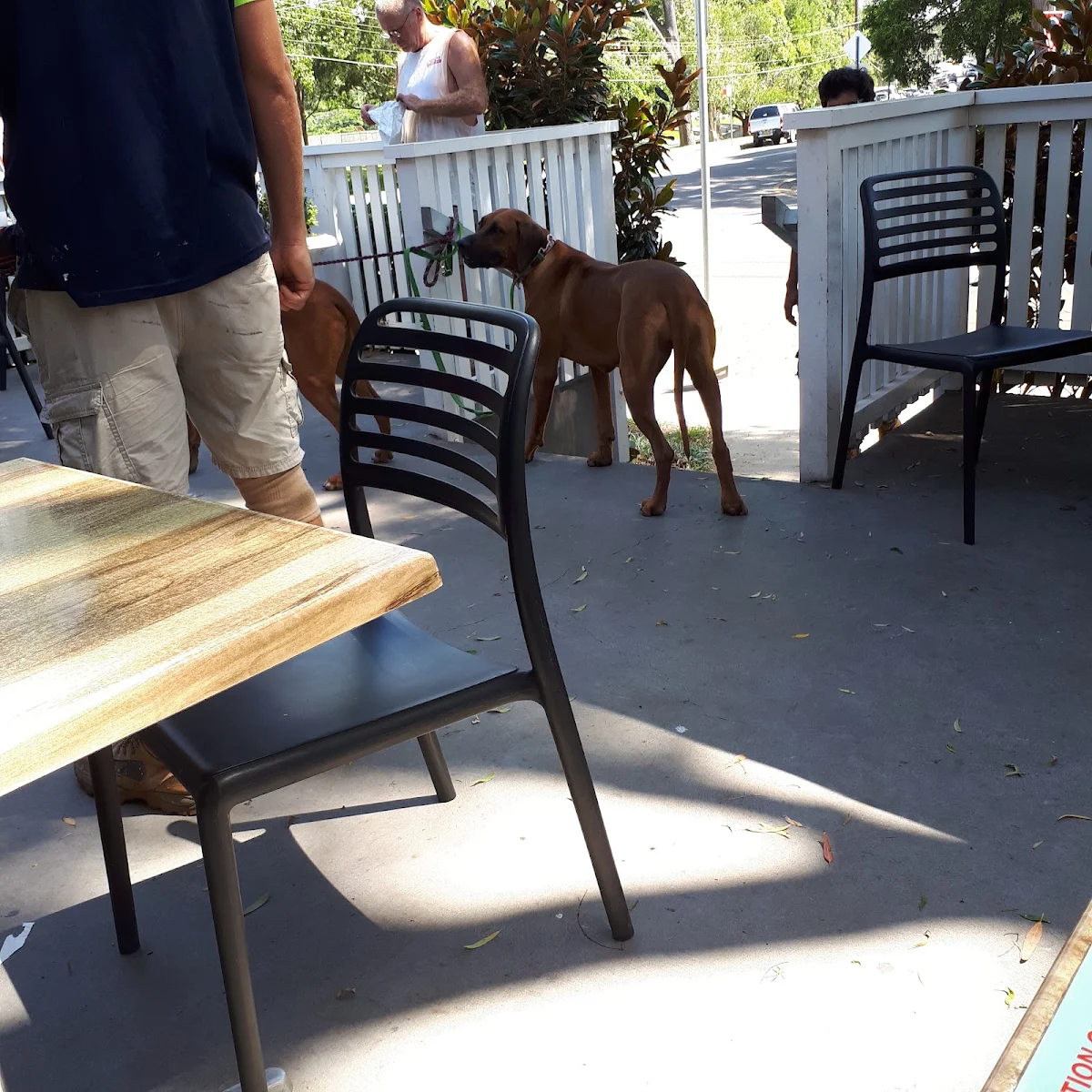 Vibe, Made at Luke's cafe