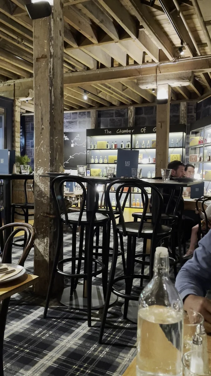 Vibe, Black Sheep Geelong