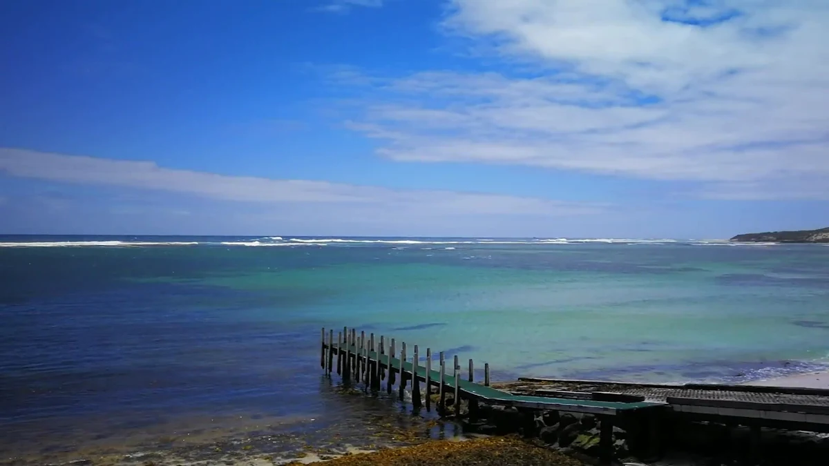 Vibe, White Elephant Cafe - Margaret River