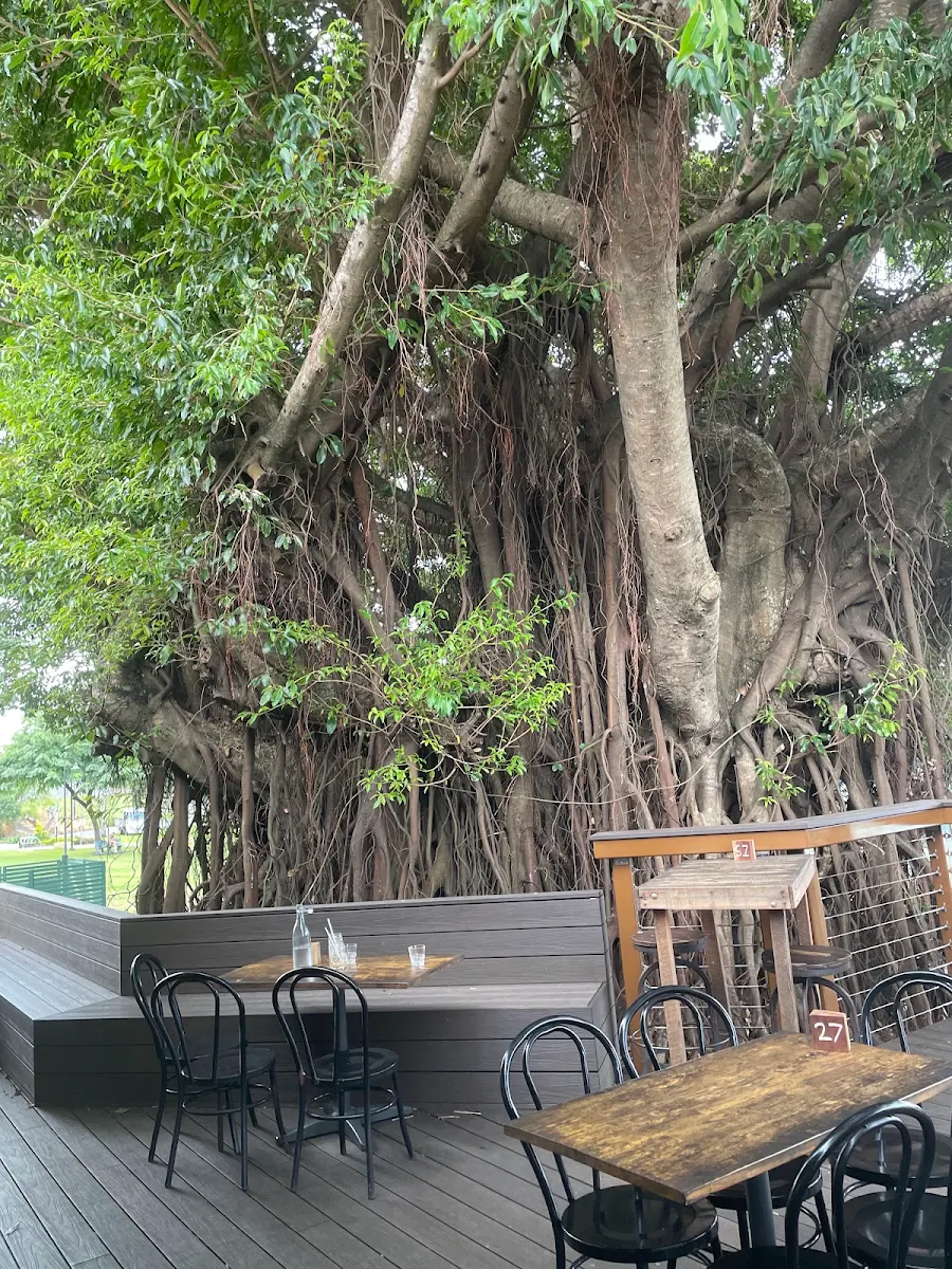Vibe, Treehouse Airlie Beach