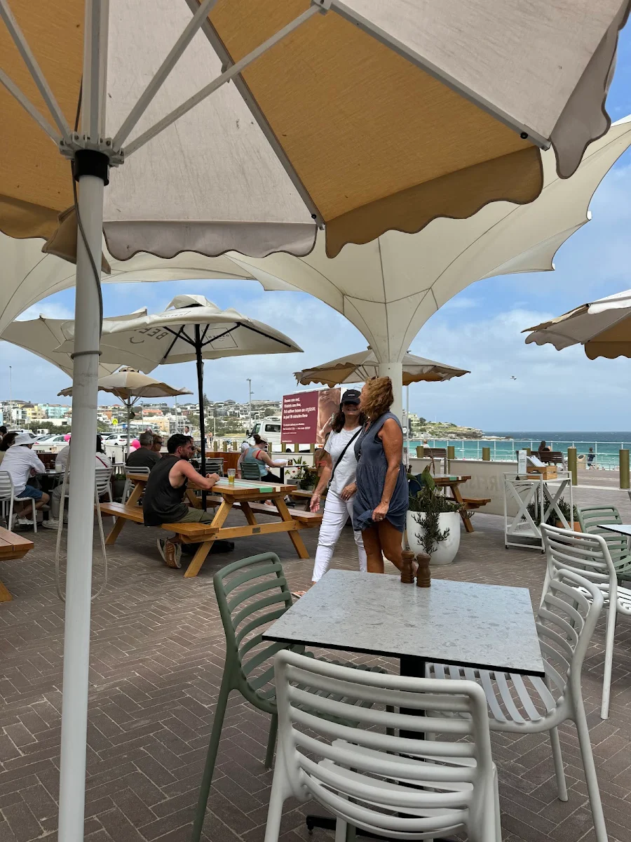 Vibe, Surfish Bondi Beach