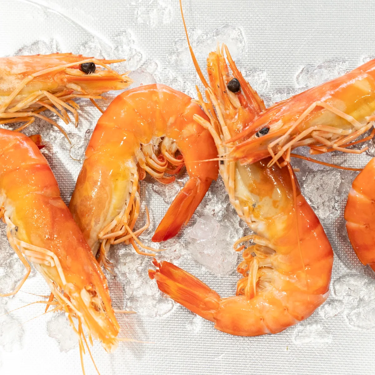 Food & drink photo 4