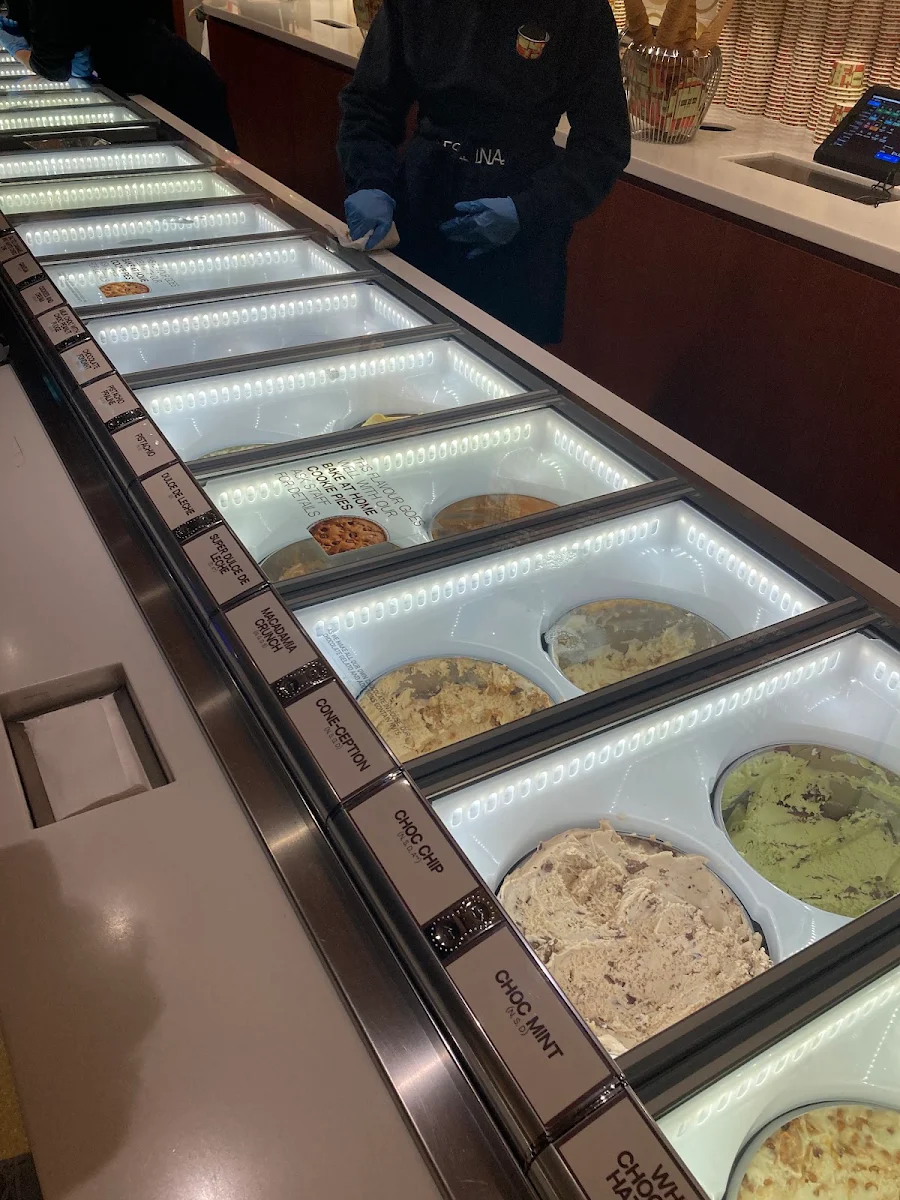 Vibe, Gelato Messina Braddon