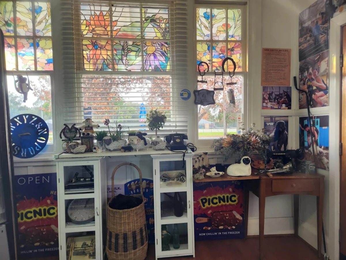 Vibe, The Black Sheep Coffee Shop Hay