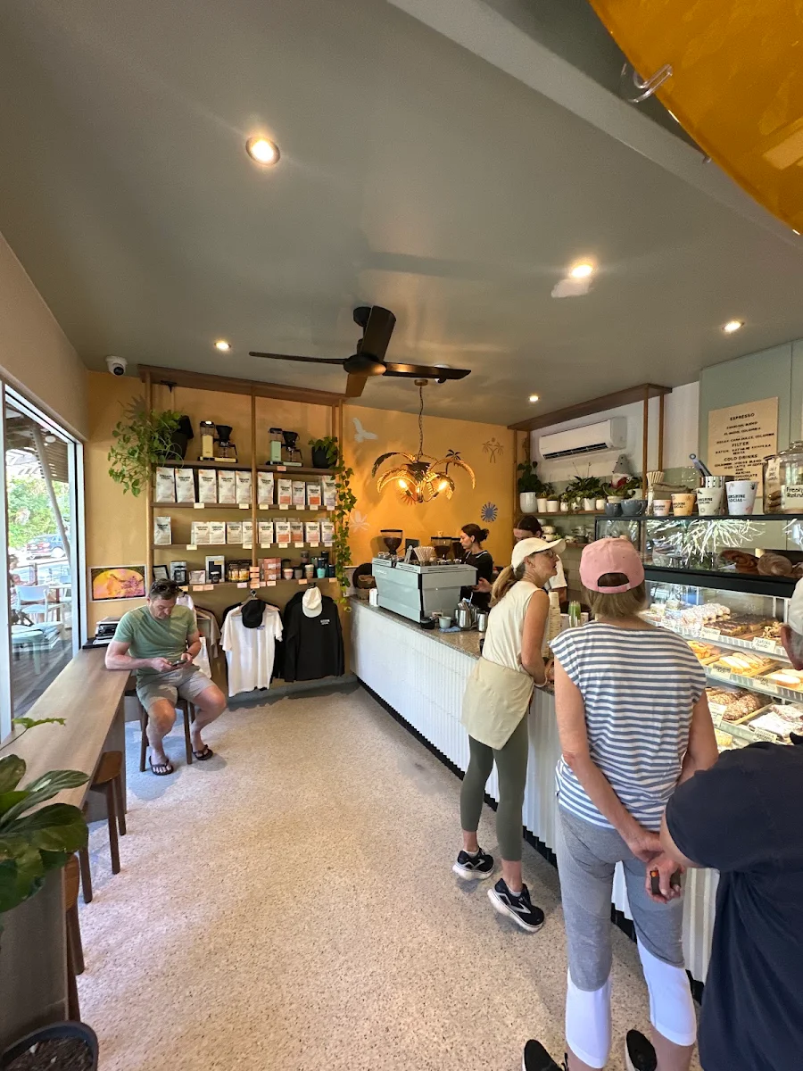 Vibe, Sunshine Social Coffee Roasters