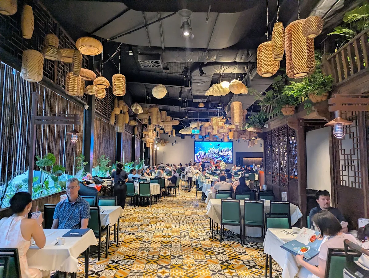 Vibe, The Panda Yum Cha