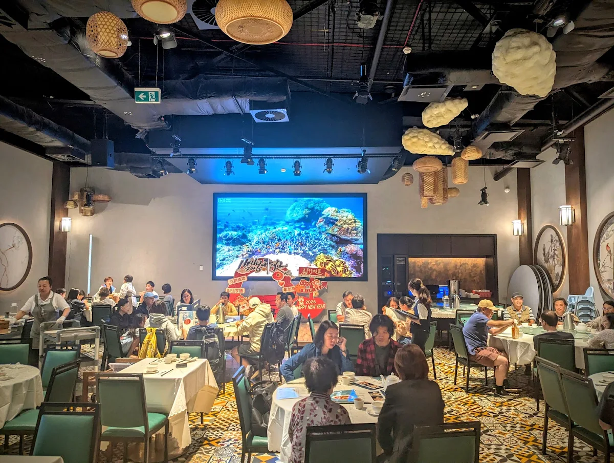 Vibe, The Panda Yum Cha