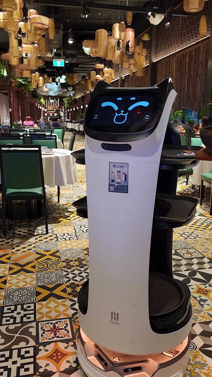 Vibe, The Panda Yum Cha