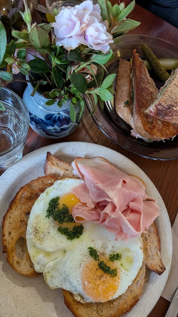 Food & drink, Sunbear Coffee