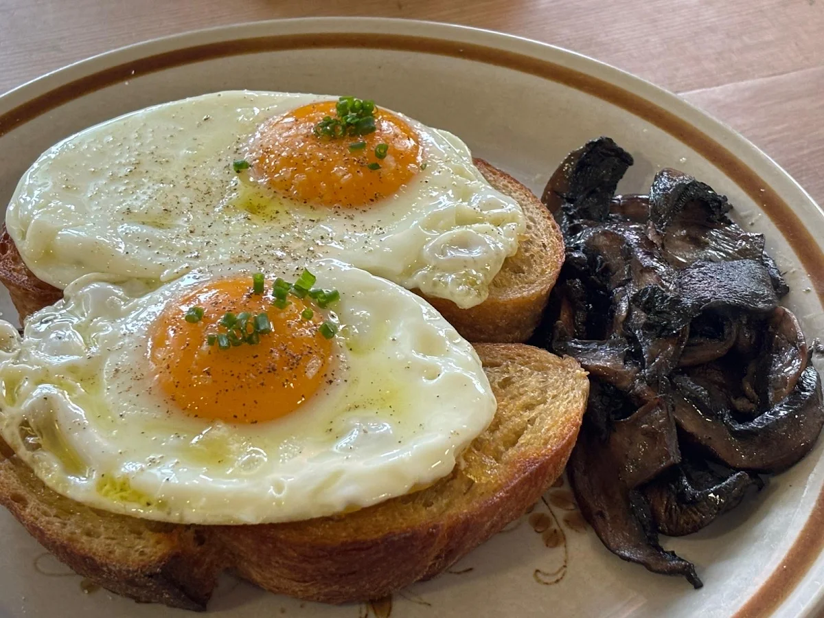 Food & drink, Sunbear Coffee
