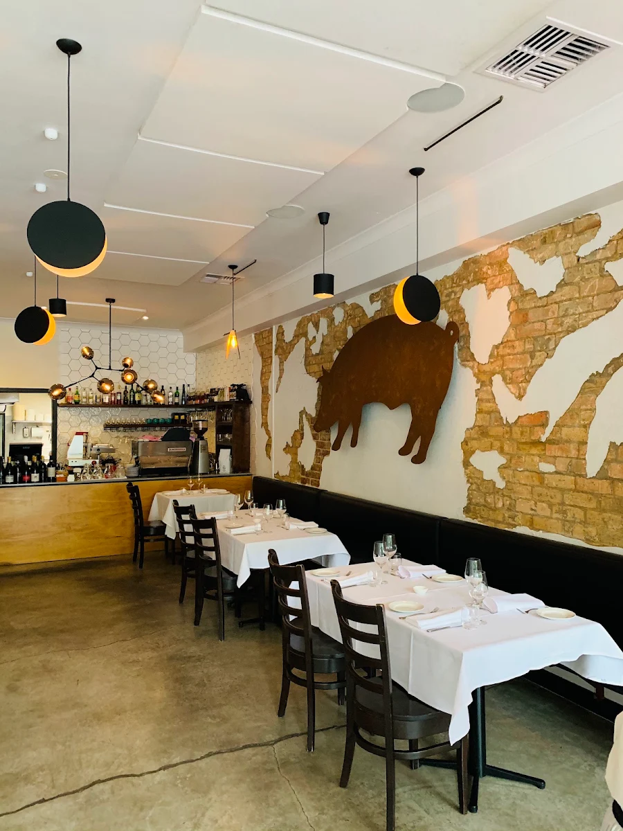 Vibe, Little Black Pig & Sons
