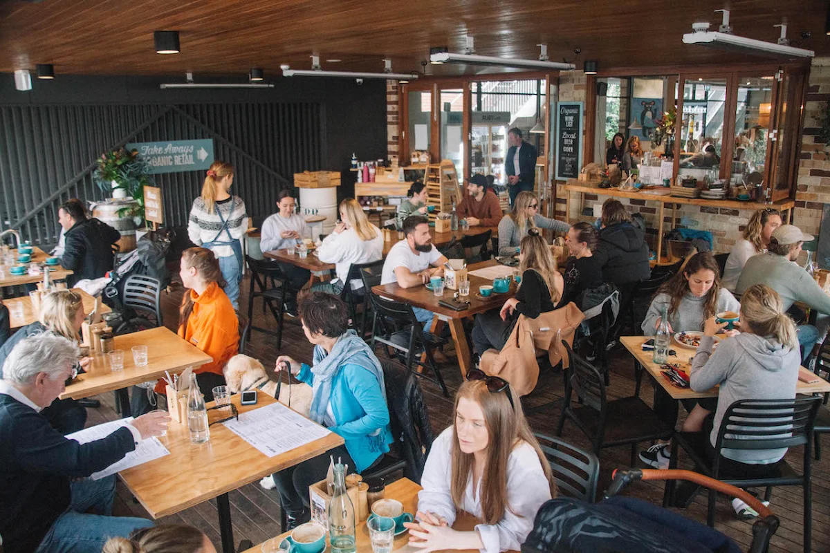 Vibe, Ruby Lane Wholefoods Cafe - Manly