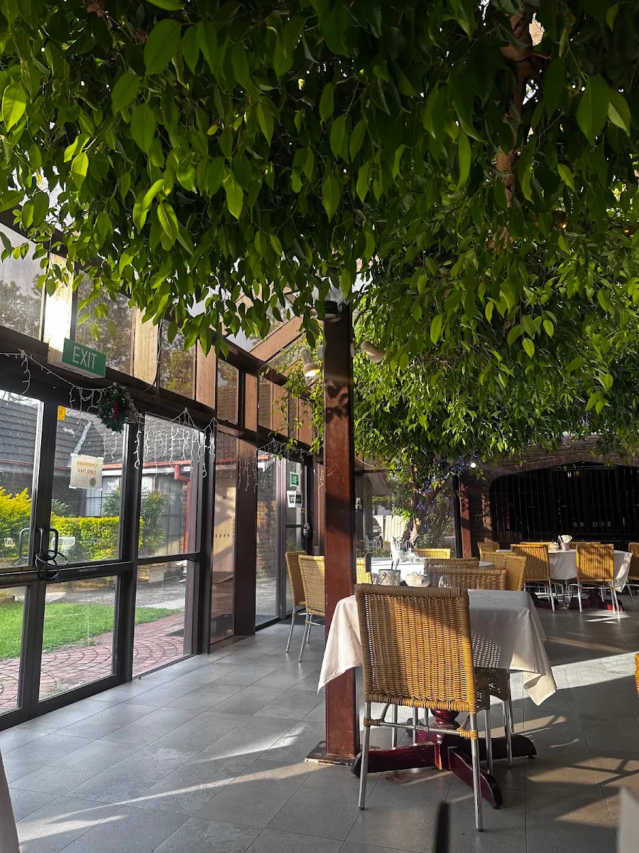 Vibe, Bistro Nomad