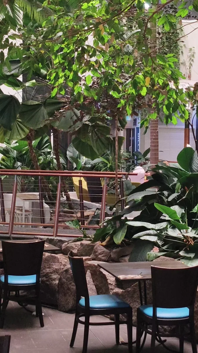 Vibe, Atrium Bar & Garden