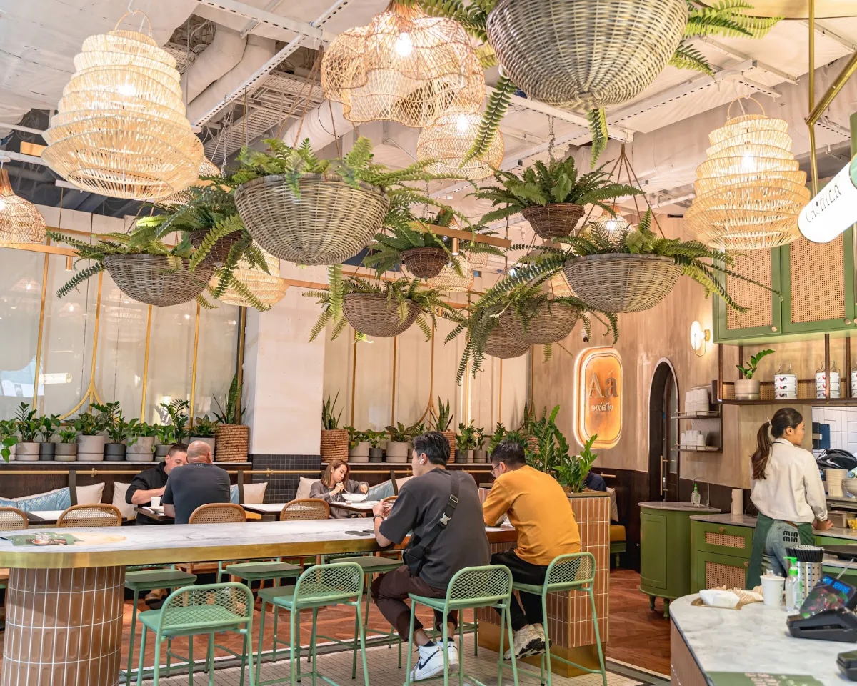 Vibe, Abb Air Thai - Chatswood