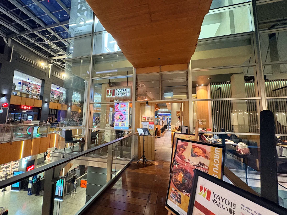 Vibe, YAYOI Galeries