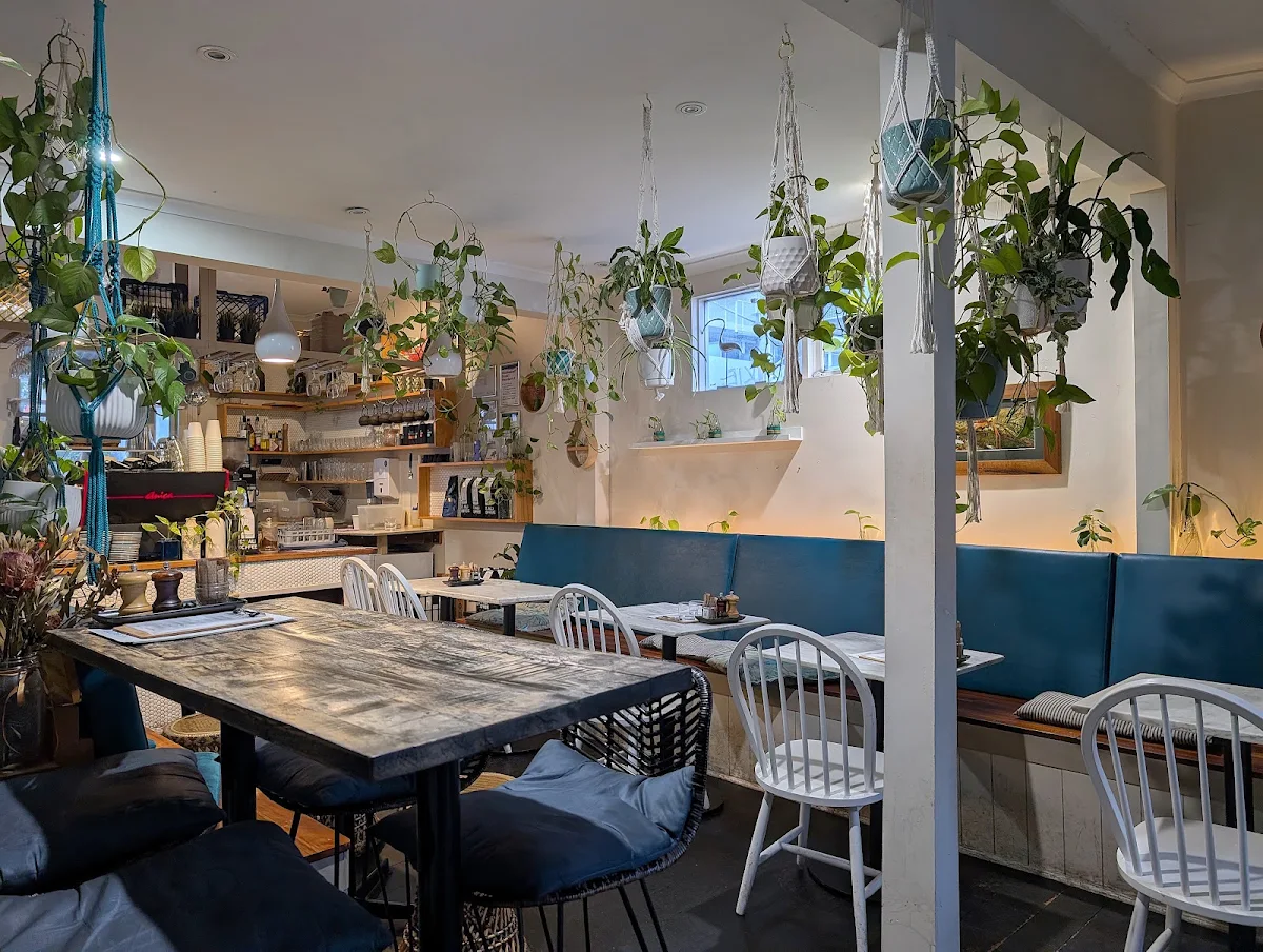 Vibe, The Peacock South Yarra