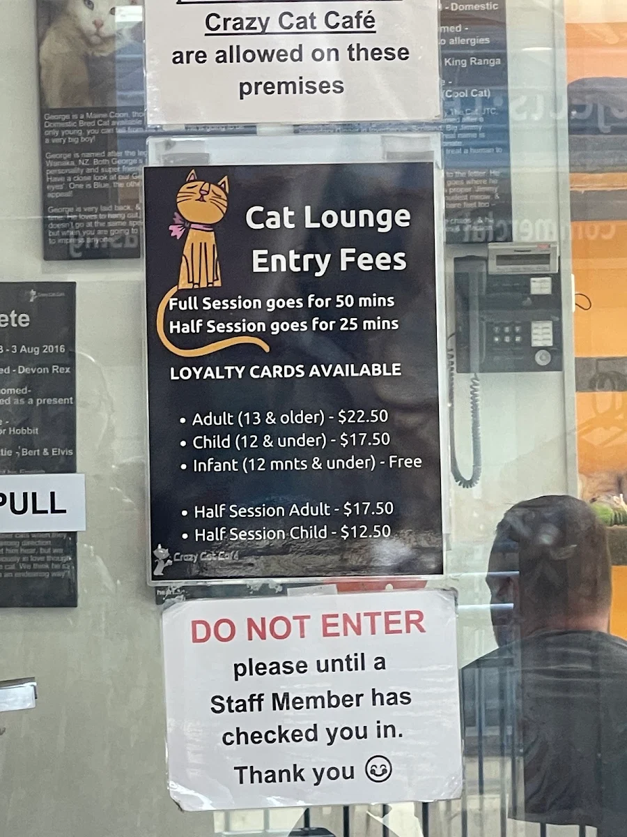 Menu, Crazy Cat Café