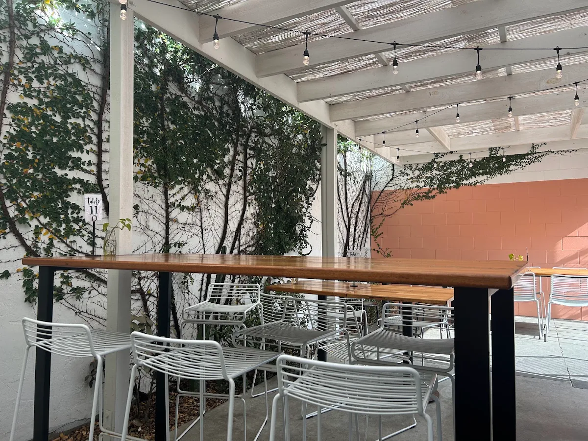 Vibe, UE Bagels Palm Beach