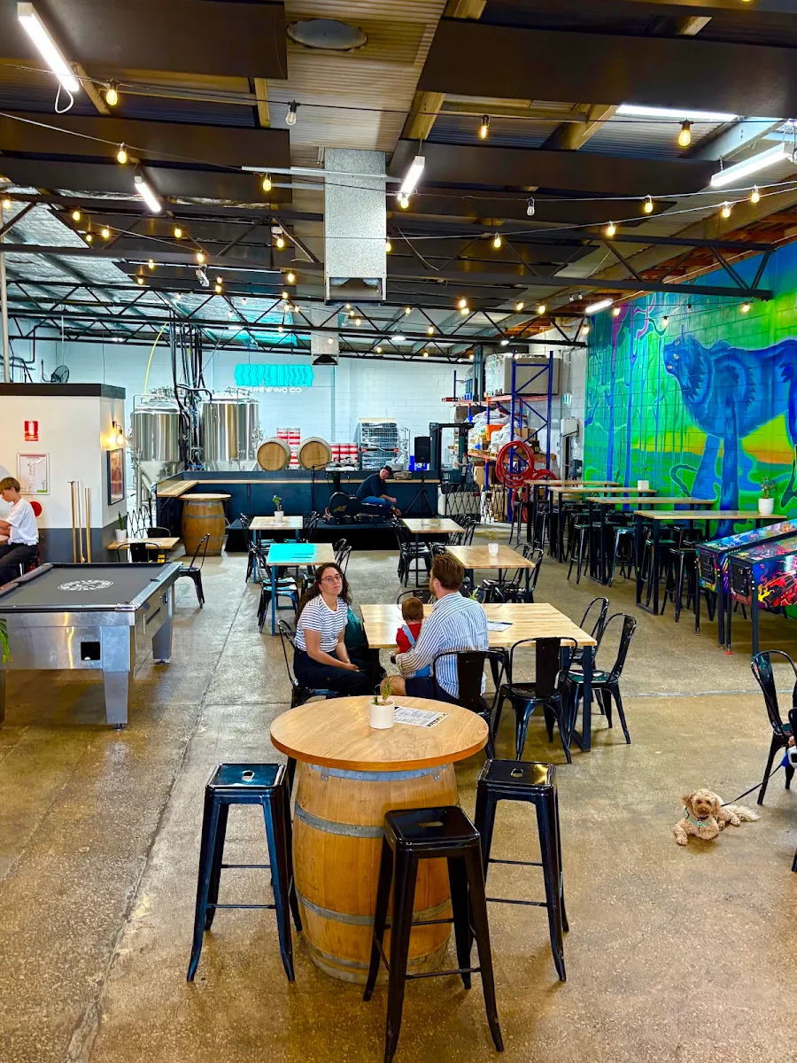 Vibe, Shapeshifter Brewing Co