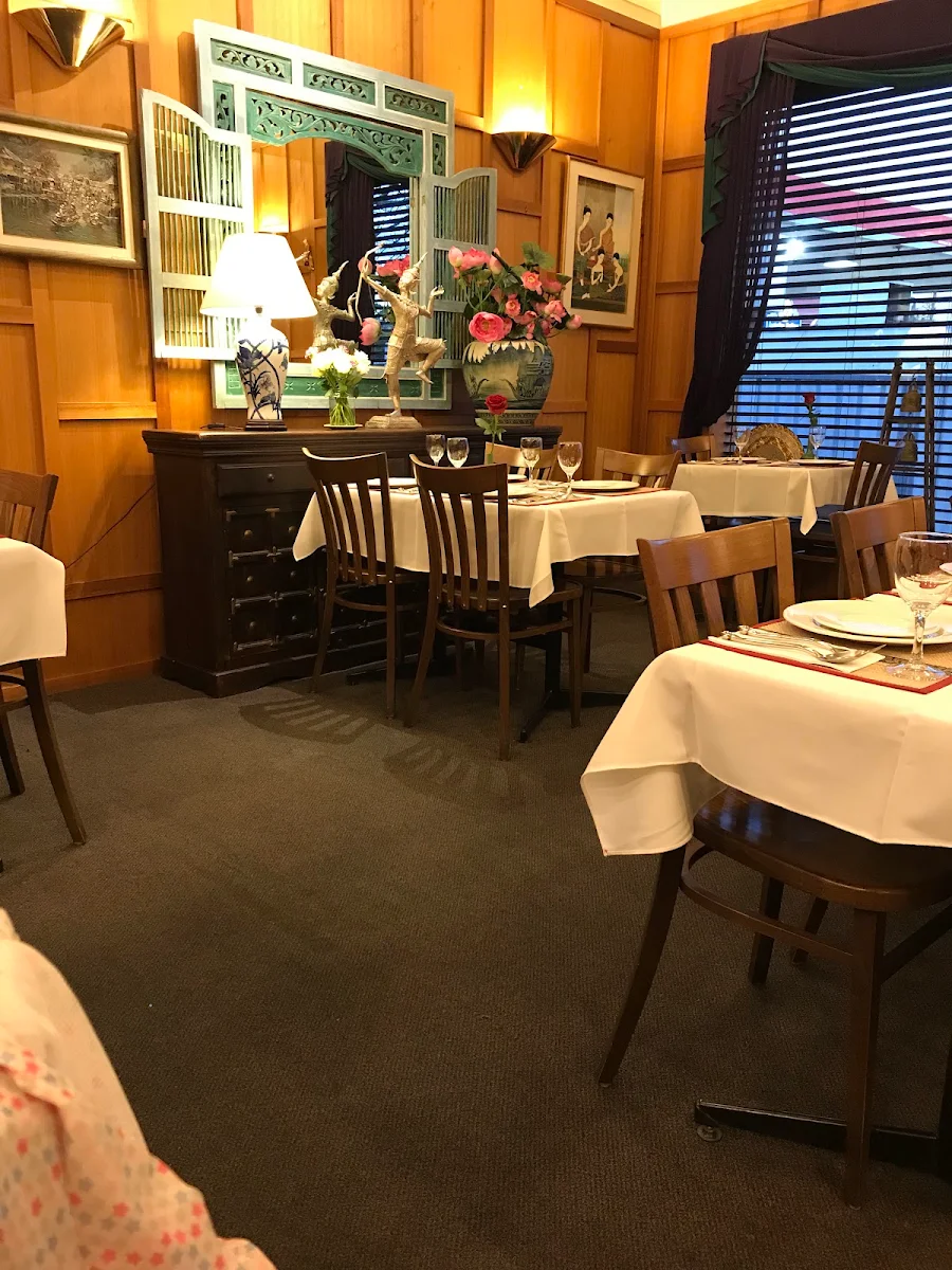 Vibe, Rose Garden Central Dubbo