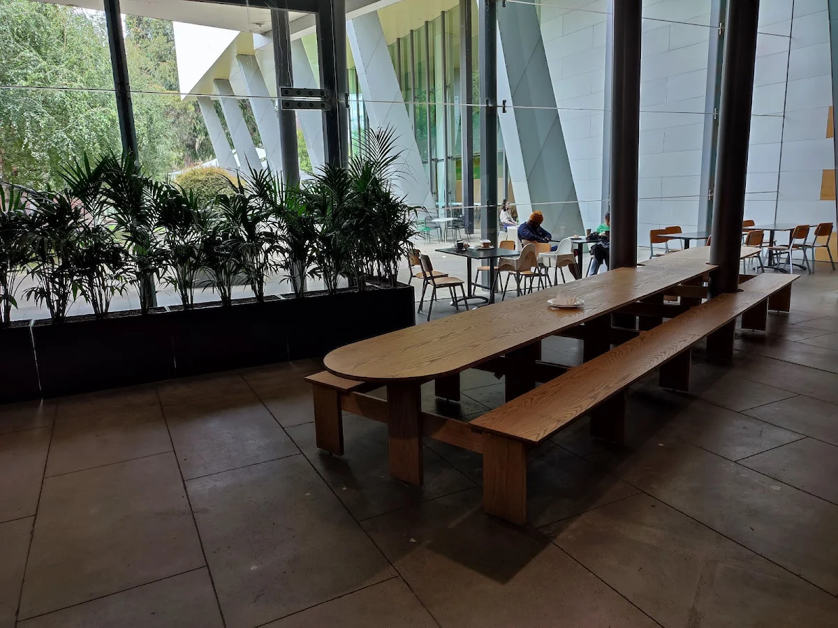 Vibe, Melbourne Museum - Museum Market Cafe