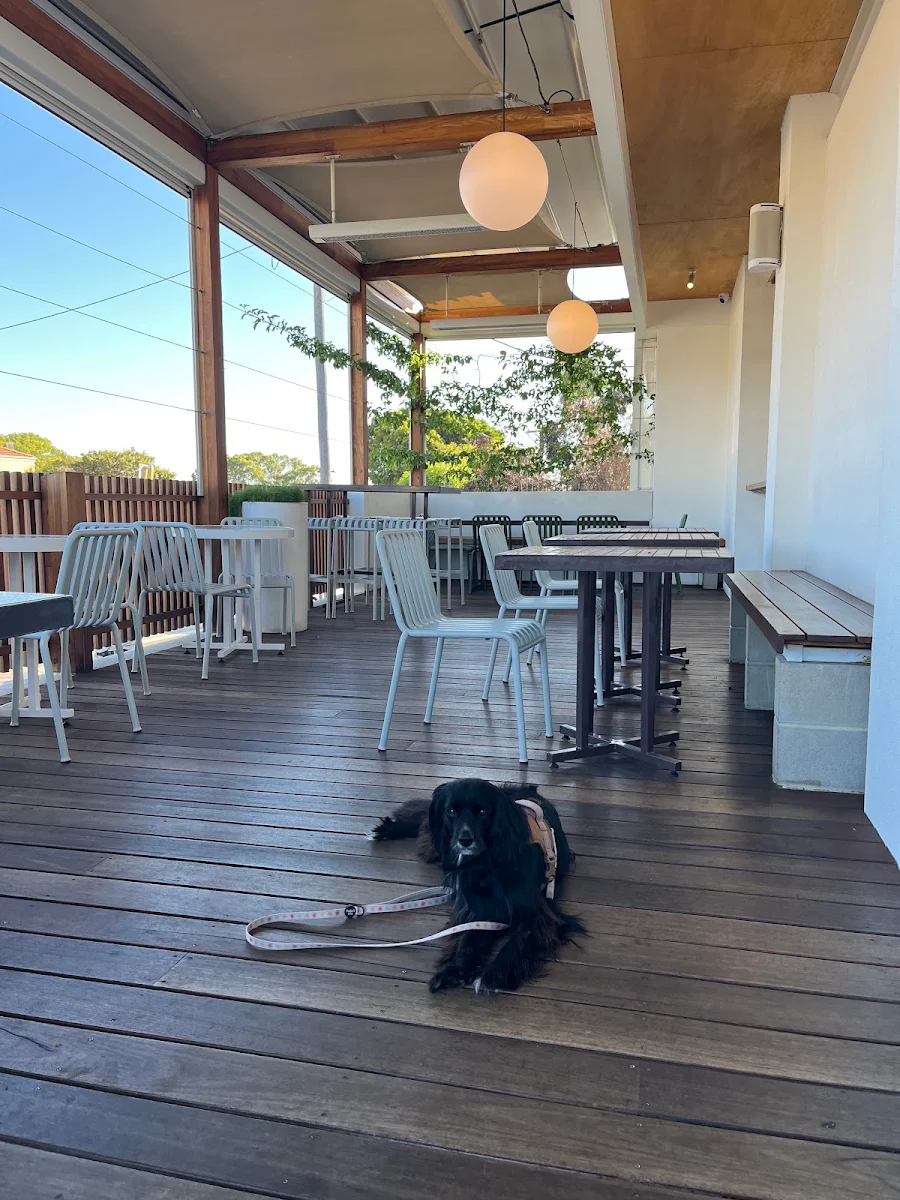 Vibe, The Corner Dairy
