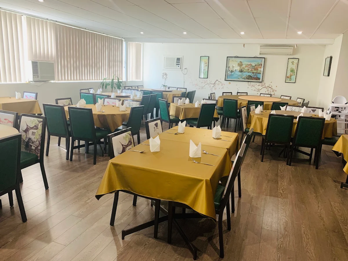Vibe, Tang's Palace Kings Langley