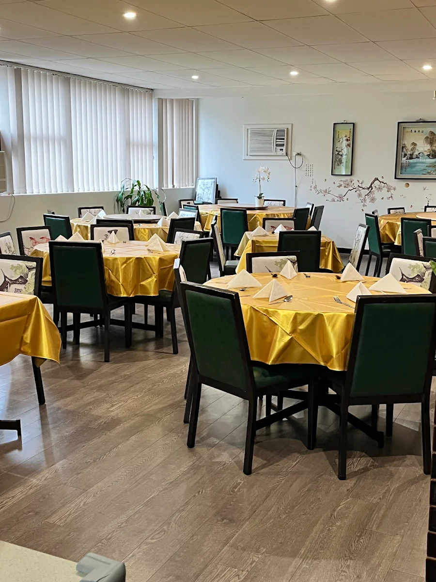 Vibe, Tang's Palace Kings Langley