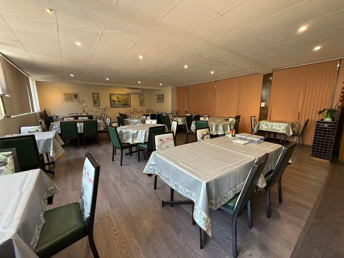 Vibe, Tang's Palace Kings Langley