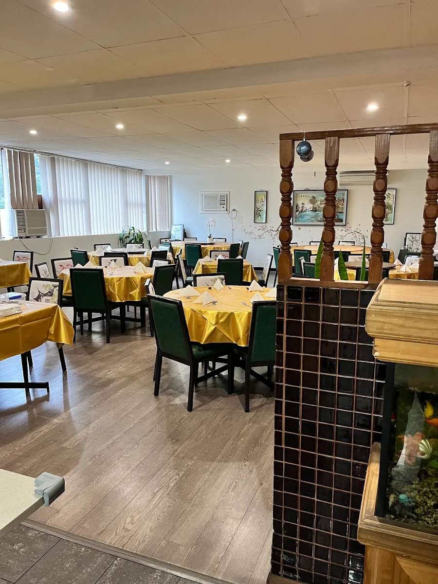 Vibe, Tang's Palace Kings Langley