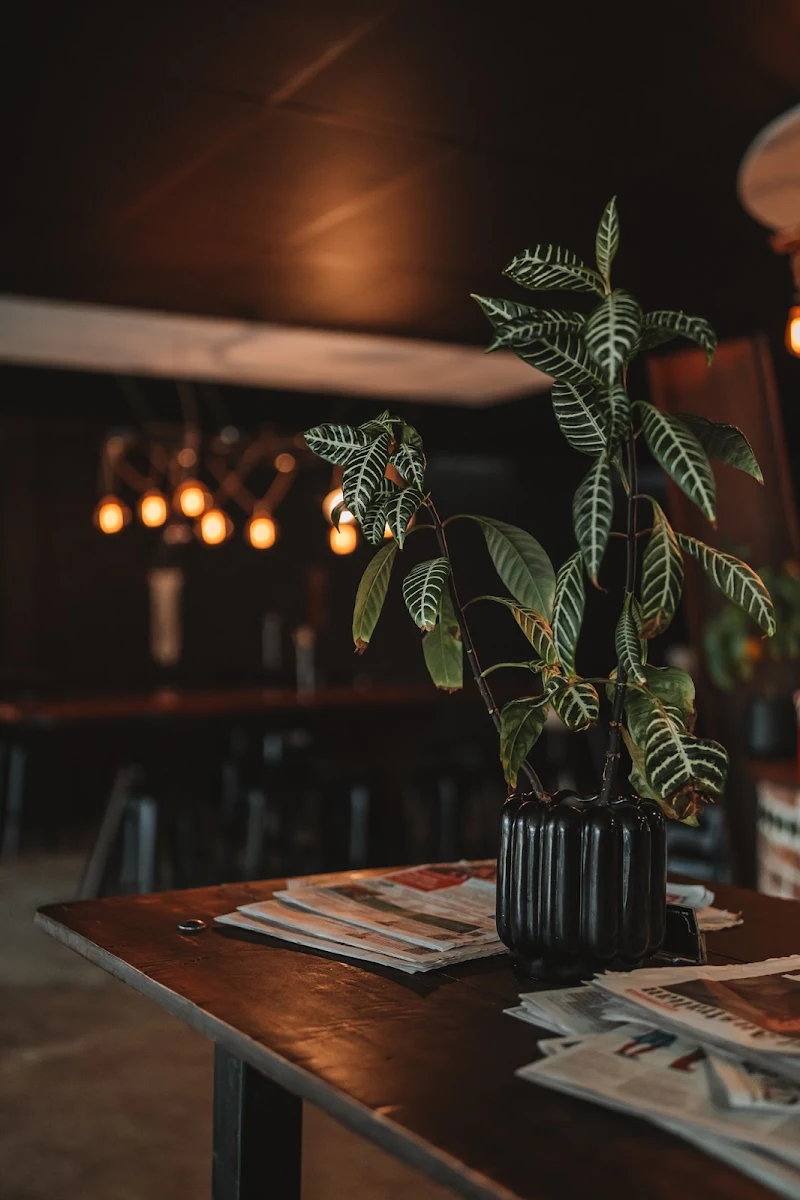 Vibe, Hidden Specialty Coffee