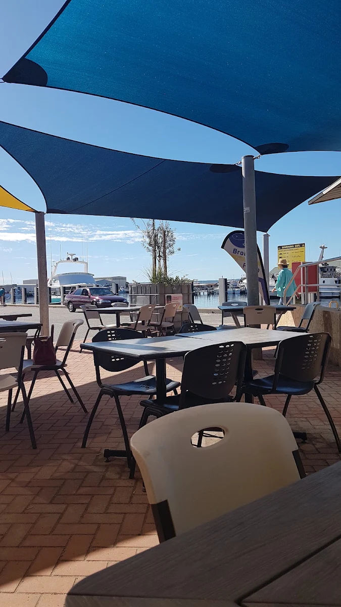 Vibe, Barnacles on the Wharf