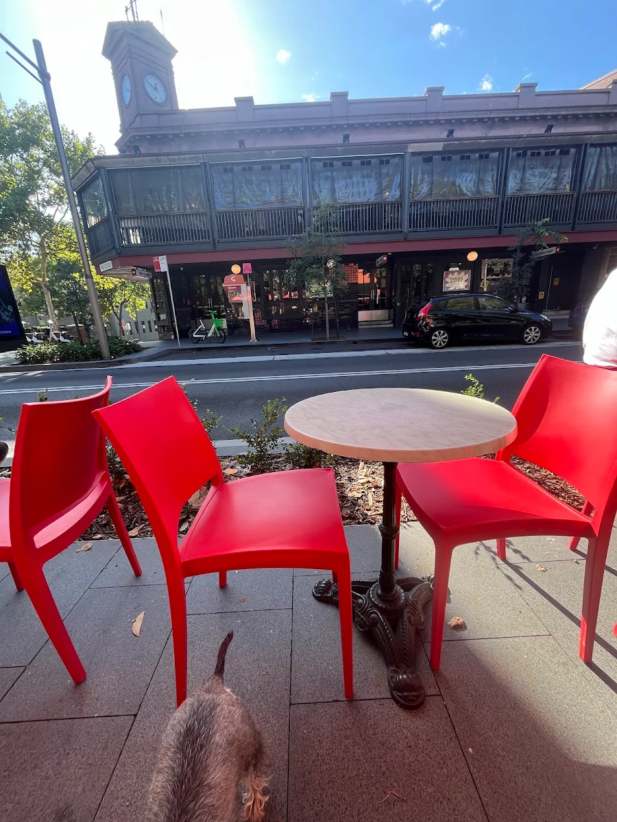 Vibe, Bacino Espresso Surry hills
