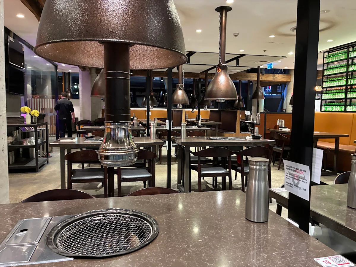 Vibe, The Yook Chatswood