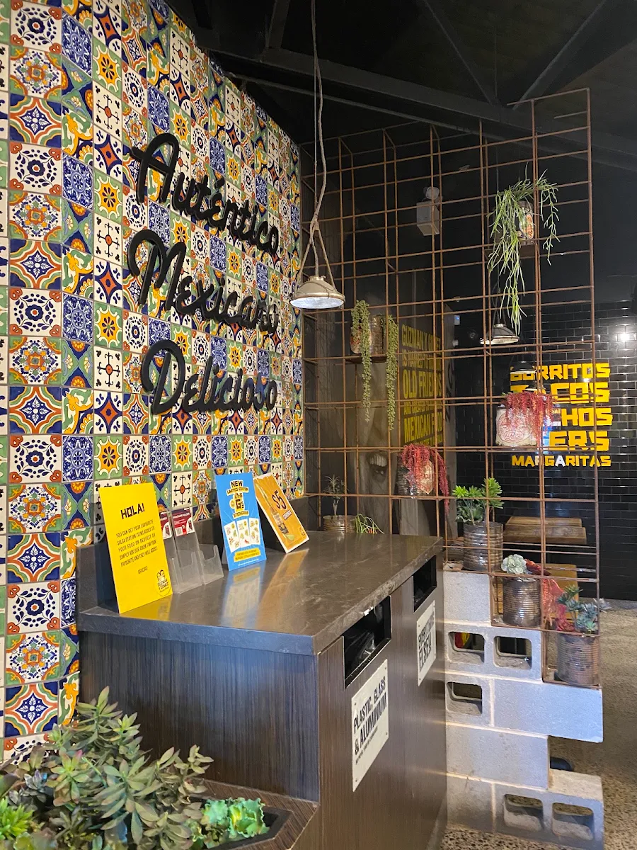 Vibe, Guzman y Gomez - Fountain Plaza