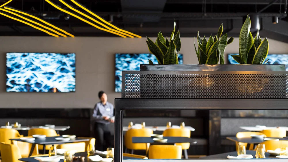 Vibe, MOMAMI Restaurant