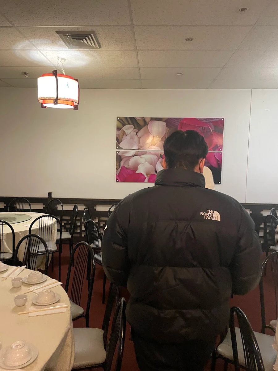 Vibe, Grand Court Chinese Restaurant