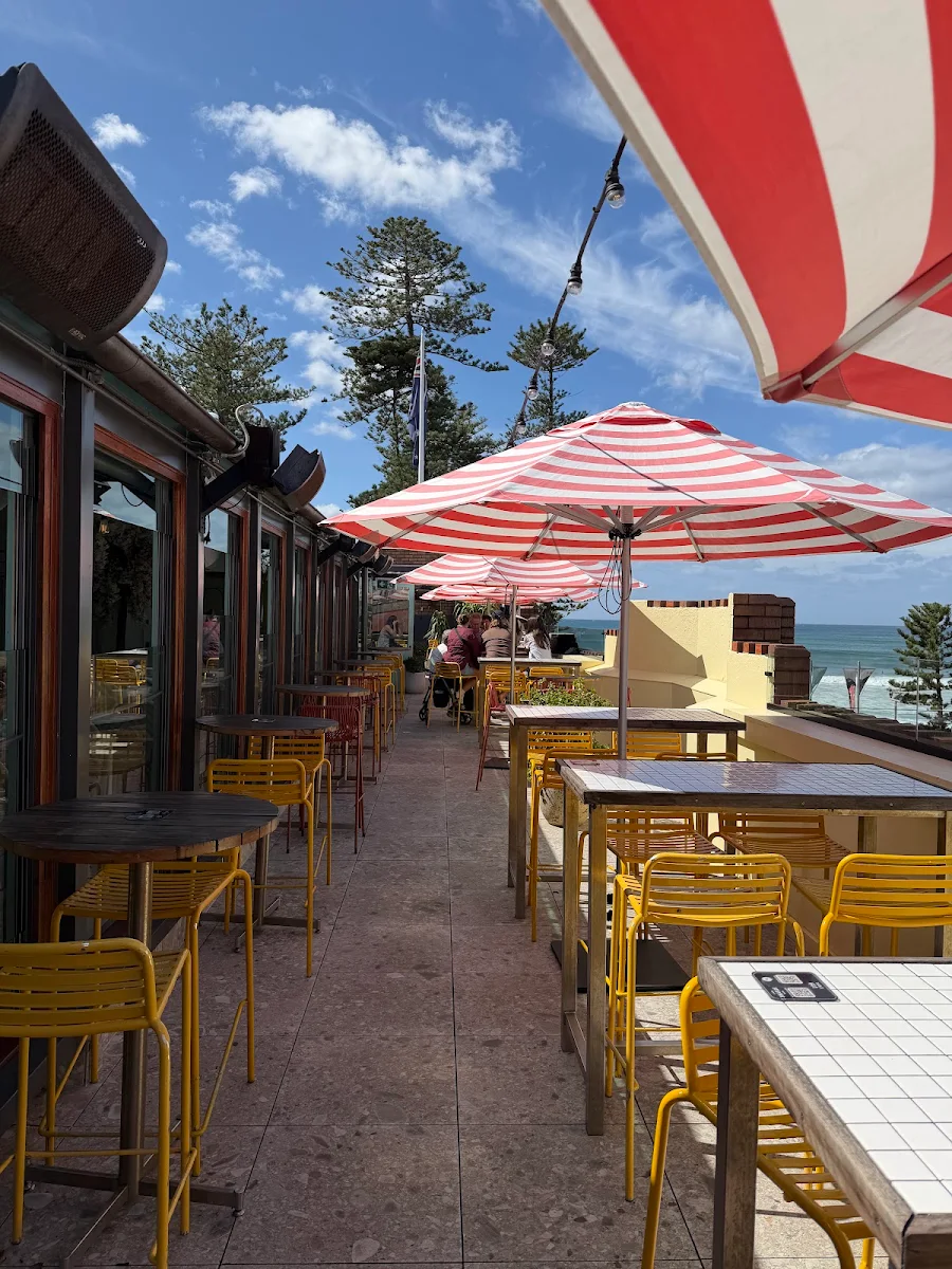 Vibe, Miami Rice Manly