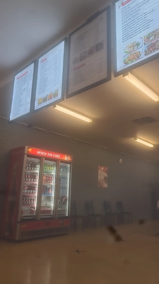 Menu, Papa's Rich Noodle