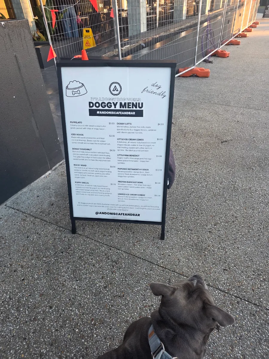 Menu, Andonis Cafe & Bar, Manly