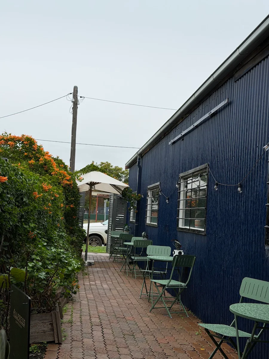 Vibe, The Hazel Cup Cafe